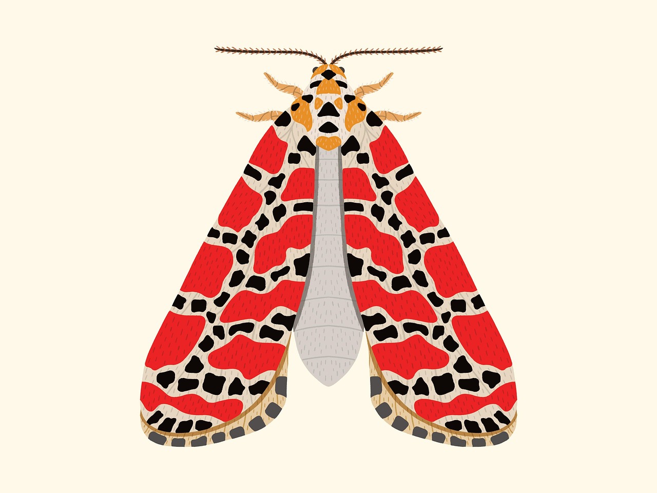 entdecken sie effektive tipps zur erkennung, bekämpfung und vorbeugung von kleidermotten. schützen sie ihre kleidung nachhaltig vor mottenbefall mit unseren praktischen ratschlägen.