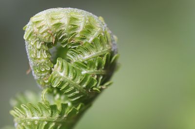 karriere tipps beruf: so erreichst du deine beruflichen ziele effektiv